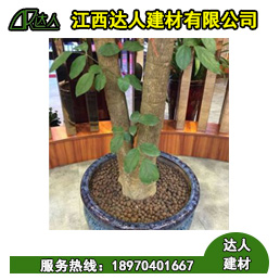 花卉園林陶粒好不好用？